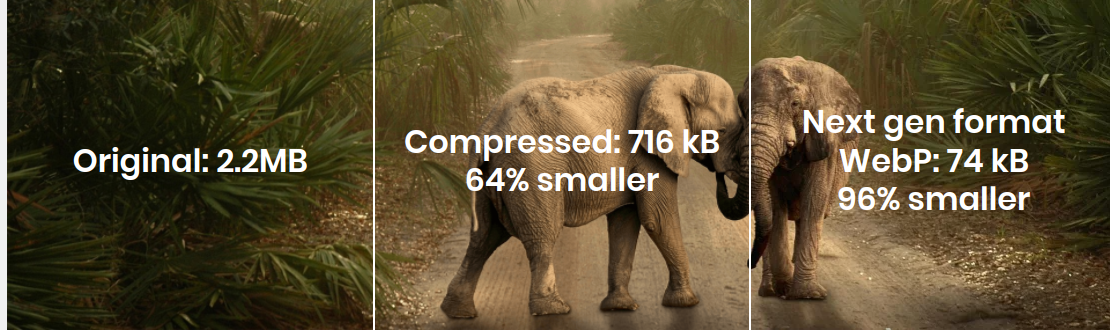 jpg vs compressed jpg vs webp