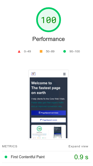 lighthouse 100 score